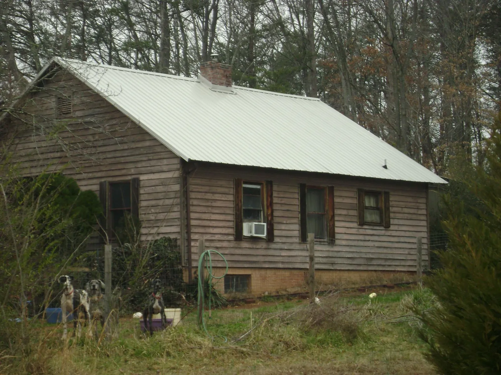 White metal roof on an old wood sided farmhouse, from a Asphalt Shingle Roof Repair job in Perley